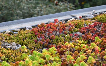 the cost of Broke Hall green roof installation