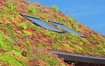 Broke Hall living roof systems